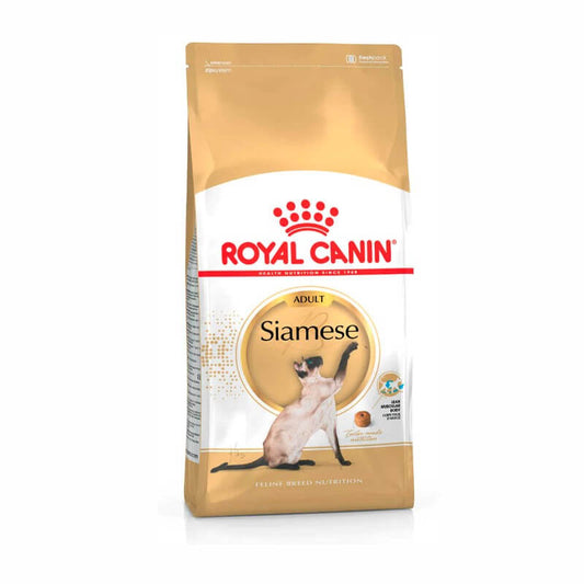 Royal Canin Siamese Adult pienso gatos siameses Gabo y Gordo E Shop España