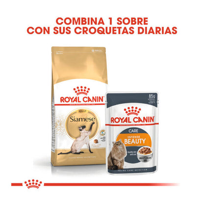 Royal Canin Siamese Adult pienso gatos siameses Gabo y Gordo E Shop España