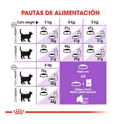 ROYAL CANIN Regular Sterilized 37 / Pienso Para Gatos. Gabo y Gordo E Shop, la mejor tienda online en las Islas Canarias, España, tienda online para mascotas, perros, gatos, conejos, tortugas, animales, accesorios para mascotas en general. 
Gabo y Gordo E Shop in Canary Islands, the best store for pets, dogs, cats, rabbits, turtles, animals, pet accessories.