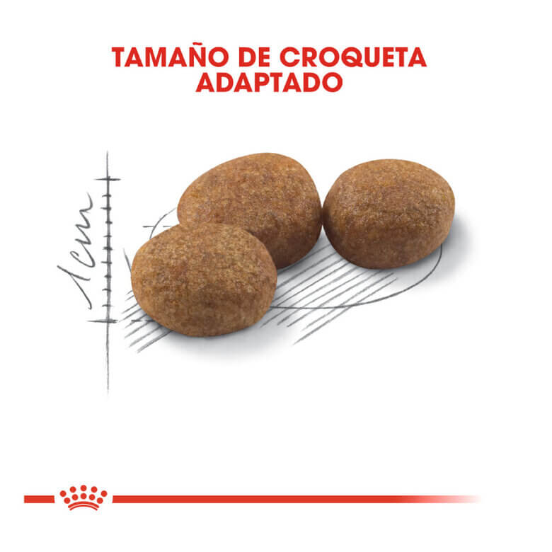 Pienso ROYAL CANIN Sterilised 37 para gatos esterilizados adultos