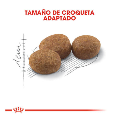 Pienso ROYAL CANIN Sterilised 37 para gatos esterilizados adultos