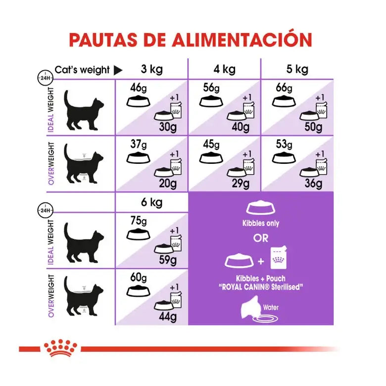 ROYAL CANIN Regular Sterilized +7 / Pienso Para Gatos Gabo y Gordo E Shop, la mejor tienda online en las Islas Canarias, España, tienda online para mascotas, perros, gatos, conejos, tortugas, animales, accesorios para mascotas en general. 
Gabo y Gordo E Shop in Canary Islands, the best store for pets, dogs, cats, rabbits, turtles, animals, pet accessories.