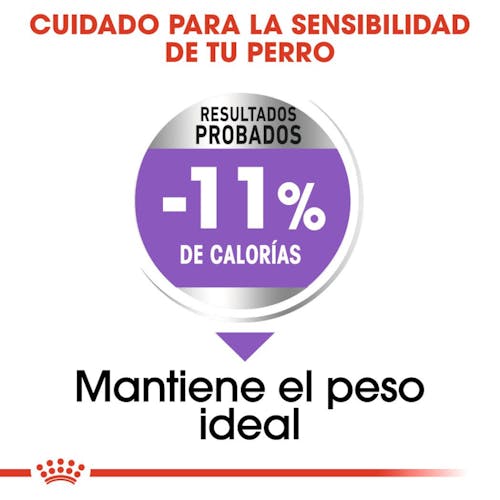 ROYAL CANIN Sterilised Care para perros esterilizados, alimento bajo en calorías con efecto saciante.