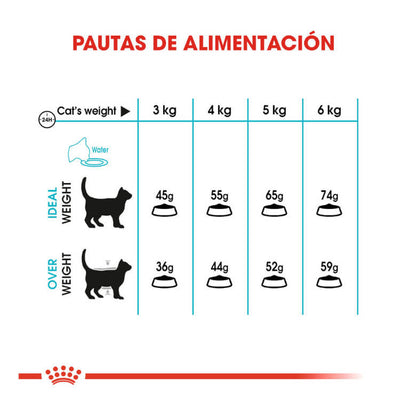 Royal Canin Urinary Care pienso para gatos salud urinaria Gabo y Gordo E Shop Canarias España