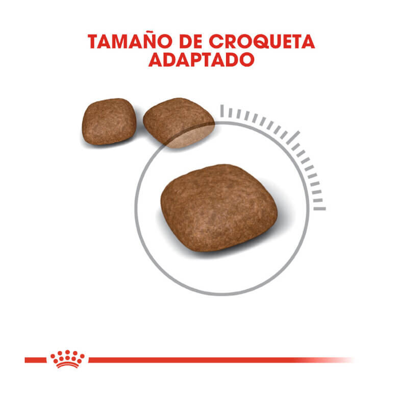 Royal Canin Urinary Care pienso para gatos salud urinaria Gabo y Gordo E Shop Canarias España