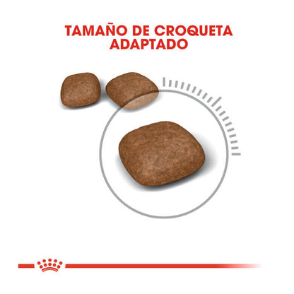 Royal Canin Urinary Care pienso para gatos salud urinaria Gabo y Gordo E Shop Canarias España