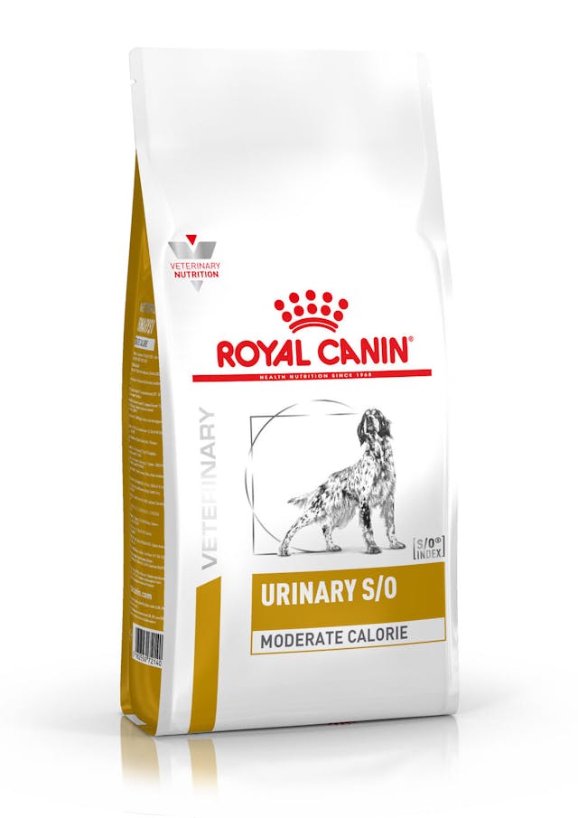 Pienso veterinario ROYAL CANIN Urinary S/O Moderate Calorie para perros con problemas urinarios
