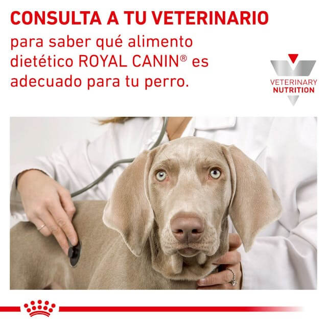 Pienso veterinario ROYAL CANIN Urinary S/O Moderate Calorie para perros con problemas urinarios