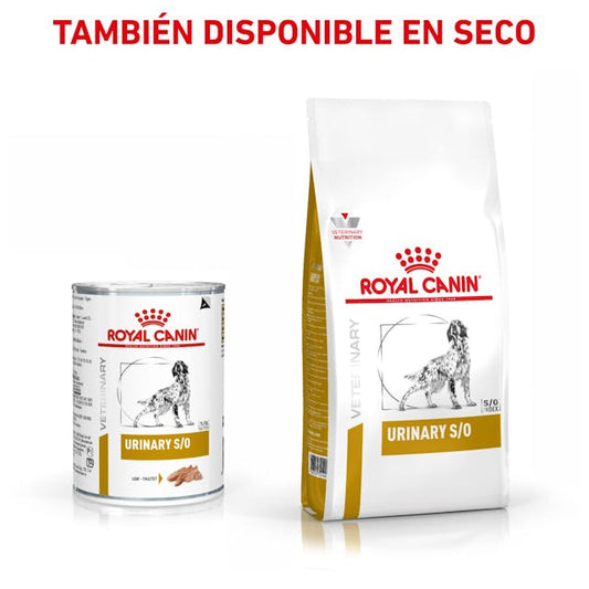 ROYAL CANIN Urinary S/O pack de 12 latas 410 g, comida húmeda dietética para perros con cálculos de estruvita u oxalato cálcico.