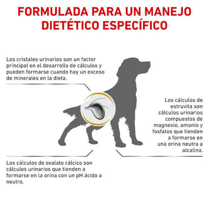 ROYAL CANIN Urinary S/O pienso seco dietético para perros con problemas urinarios, 100% equilibrado.