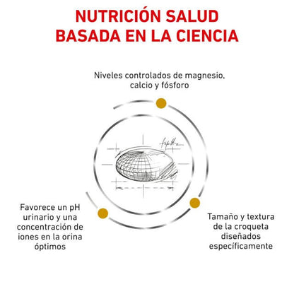 "Pienso veterinario ROYAL CANIN Urinary S/O Small Dog para perros pequeños con problemas urinarios"