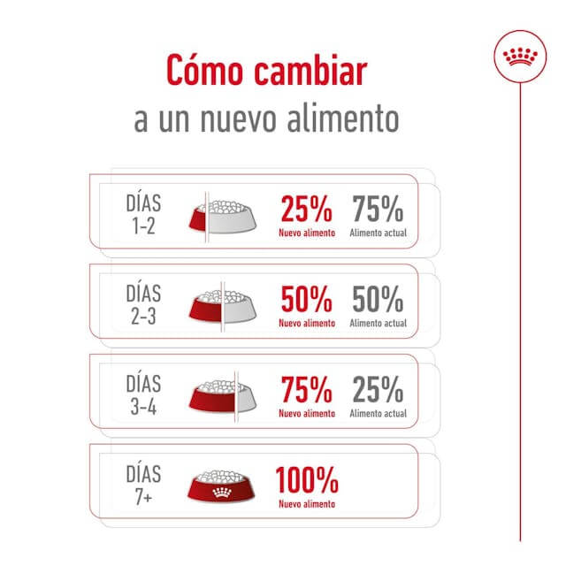 Pienso Royal Canin X-Small Ageing 12+ para perros mini senior mayores de 12 años