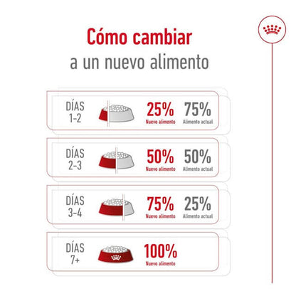 Pienso Royal Canin X-Small Ageing 12+ para perros mini senior mayores de 12 años