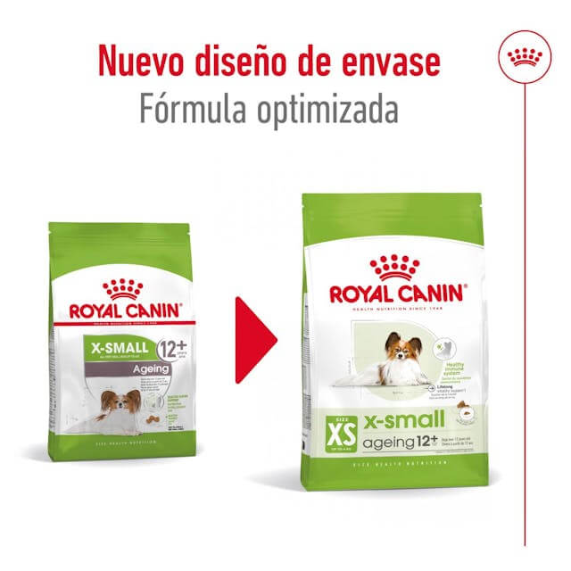 Pienso Royal Canin X-Small Ageing 12+ para perros mini senior mayores de 12 años