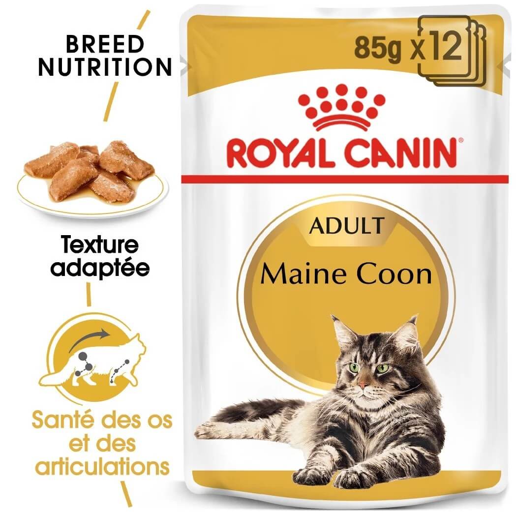ROYAL CANIN Maine Coon Gravy Pouch Gravy Pouch | Pack de 12 x 85 g para gatos.  Gabo y Gordo E Shop, la mejor tienda online en las Islas Canarias, España, tienda online para mascotas, perros, gatos, conejos, tortugas, animales, accesorios para mascotas en general. 
Gabo y Gordo E Shop in Canary Islands, the best store for pets, dogs, cats, rabbits, turtles, animals, pet accessories.