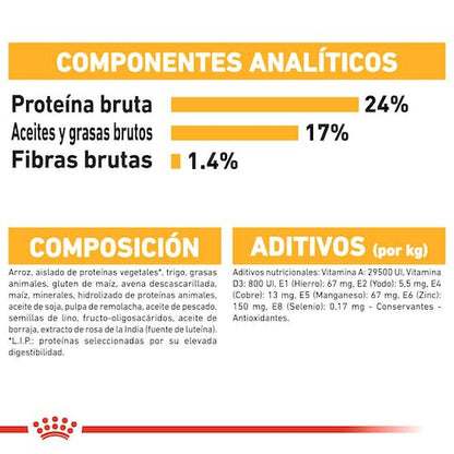 ROYAL CANIN Gama Care Dermacomfort Xsmall, Mini, Medium, Maxi. Gabo y Gordo E Shop, la mejor tienda online en las Islas Canarias, España, tienda online para mascotas, perros, gatos, conejos, tortugas, animales, accesorios para mascotas en general. 
Gabo y Gordo E Shop in Canary Islands, the best store for pets, dogs, cats, rabbits, turtles, animals, pet accessories.