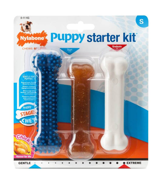Mordedores para cachorros con sabor a pollo – Set dental divertido