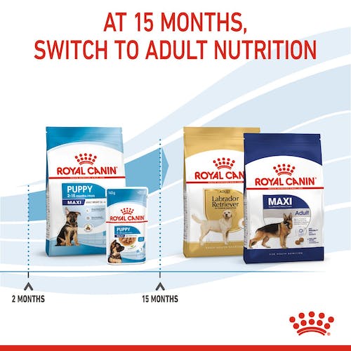 ROYAL CANIN Maxi Puppy Gabo&Gordo Pet Shop en Las Palmas de Gran Canaria tienda para mascotas, perros, gatos, conejos, tortugas, animales