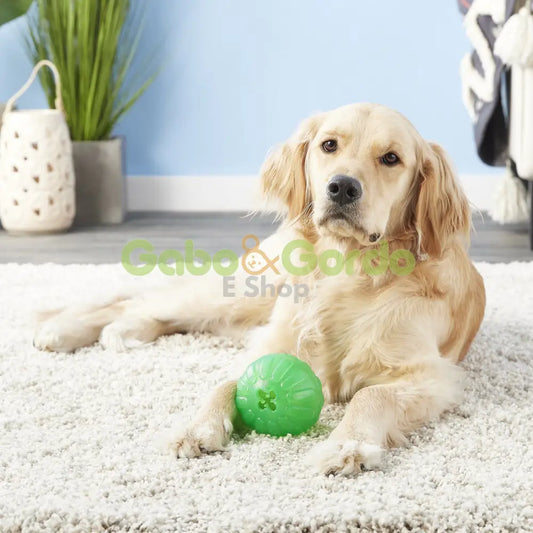STARMARK Chewball pelota dispensadora de premios para perros interactiva y resistente