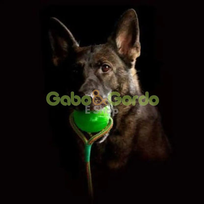 STARMARK Pelota con cuerda dispensadora de comida para perros SWING N FLING CHEWBALL