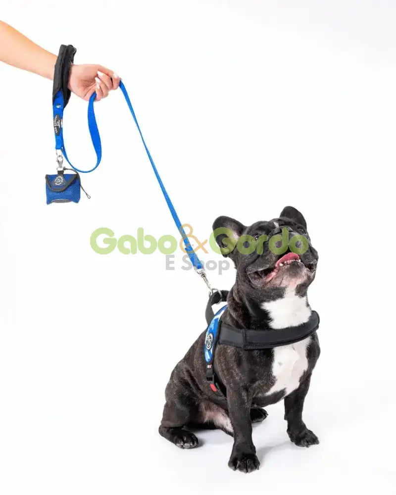 TRE PONTI CORREA AZÚL AGARRE COLCHADO 115CM para mascotas.  Gabo y Gordo E Shop, la mejor tienda online en las Islas Canarias, España, tienda online para mascotas, perros, gatos, conejos, tortugas, animales, accesorios para mascotas en general. 
Gabo y Gordo E Shop in Canary Islands, the best store for pets, dogs, cats, rabbits, turtles, animals, pet accessories.