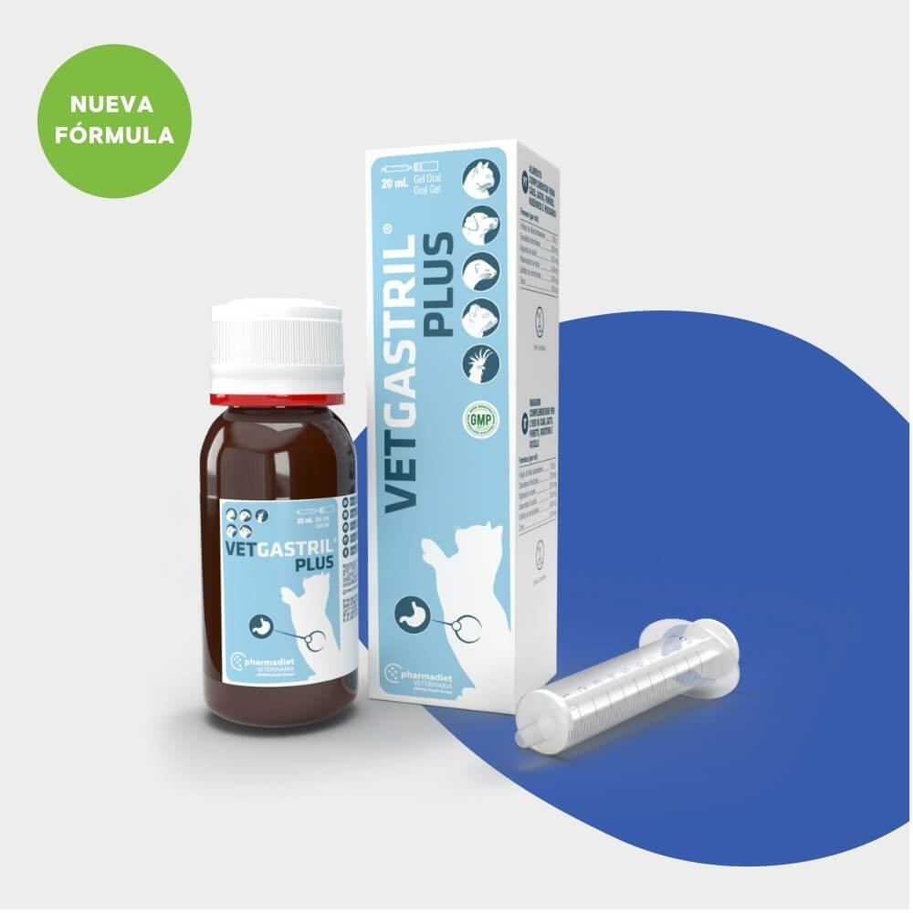 Vetgastril Plus Gel nueva fórmula, alimento complementario gastrointestinal para perros y gatos con jeringa dosificadora, formatos 20 y 50 ml