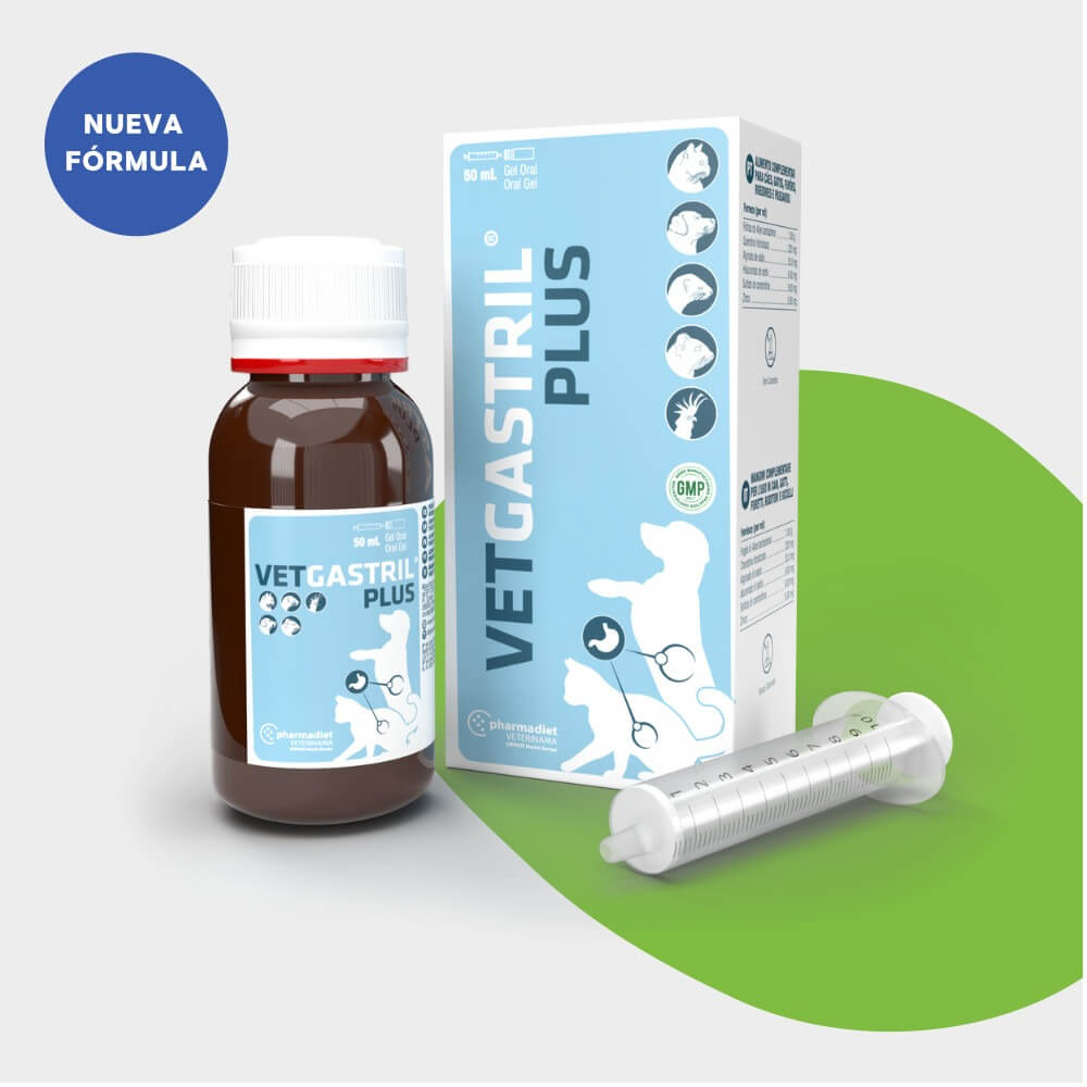 Vetgastril Plus Gel nueva fórmula, alimento complementario gastrointestinal para perros y gatos con jeringa dosificadora, formatos 20 y 50 ml