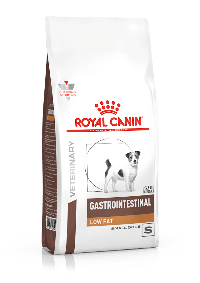 ROYAL CANIN Gastrointestinal Low Fat Small Dog | Alimento dietético completo para perros adultos de razas pequeñas.  Gabo y Gordo Pet Shop en Las Palmas de Gran Canaria tienda para mascotas, perros, gatos, conejos, tortugas, animales, accesorios para mascotas.