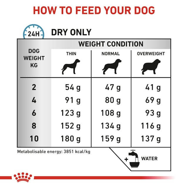 ROYAL CANIN Anallergenic small dogs | Alimento dietético completo para perros adultos .  Gabo y Gordo Pet Shop en Las Palmas de Gran Canaria tienda para mascotas, perros, gatos, conejos, tortugas, animales, accesorios para mascotas.