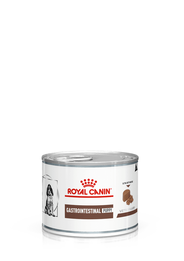 ROYAL CANIN Puppy Paté  | Pack de lata de 12 x 195 g para  cachorros.  Gabo&Gordo Pet Shop en Las Palmas de Gran Canaria tienda para mascotas, perros, gatos, conejos, tortugas, animales