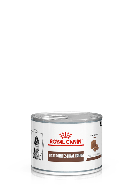 ROYAL CANIN Puppy Paté  | Pack de lata de 12 x 195 g para  cachorros.  Gabo&Gordo Pet Shop en Las Palmas de Gran Canaria tienda para mascotas, perros, gatos, conejos, tortugas, animales