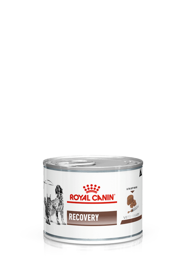 ROYAL CANIN Recovery  | Pack de lata de 12 x 195 g para  perros y gatos.  Gabo&Gordo Pet Shop en Las Palmas de Gran Canaria tienda para mascotas, perros, gatos, conejos, tortugas, animales