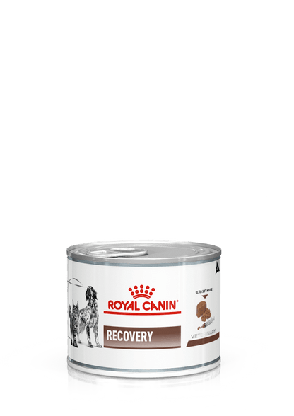 ROYAL CANIN Recovery  | Pack de lata de 12 x 195 g para  perros y gatos.  Gabo y Gordo E Shop, la mejor tienda online en las Islas Canarias, España, tienda online para mascotas, perros, gatos, conejos, tortugas, animales, accesorios para mascotas en general. 
Gabo y Gordo E Shop in Canary Islands, the best store for pets, dogs, cats, rabbits, turtles, animals, pet accessories.