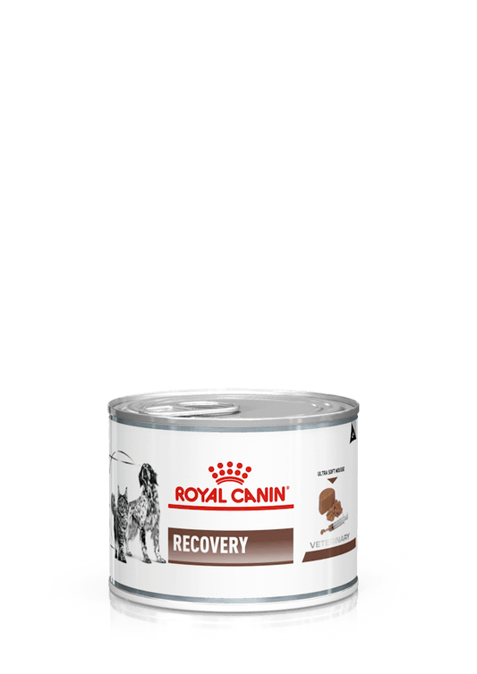 ROYAL CANIN Recovery  | Pack de lata de 12 x 195 g para  perros y gatos.  Gabo&Gordo Pet Shop en Las Palmas de Gran Canaria tienda para mascotas, perros, gatos, conejos, tortugas, animales