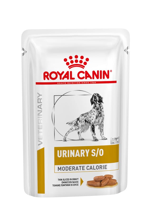 ROYAL CANIN Urinary S/O Moderate Calorie Salsa | Pack de sobres de 12 x 100 g para perros