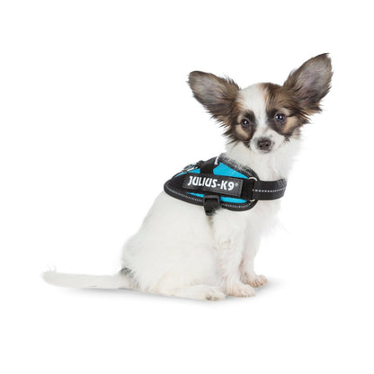 JULIUS K9 IDC Powerharness arnés Aguamarina para perro Gabo&Gordo Pet Shop en Las Palmas de Gran Canaria tienda para mascotas, perros, gatos, conejos, tortugas, animales, accesorios para mascotas