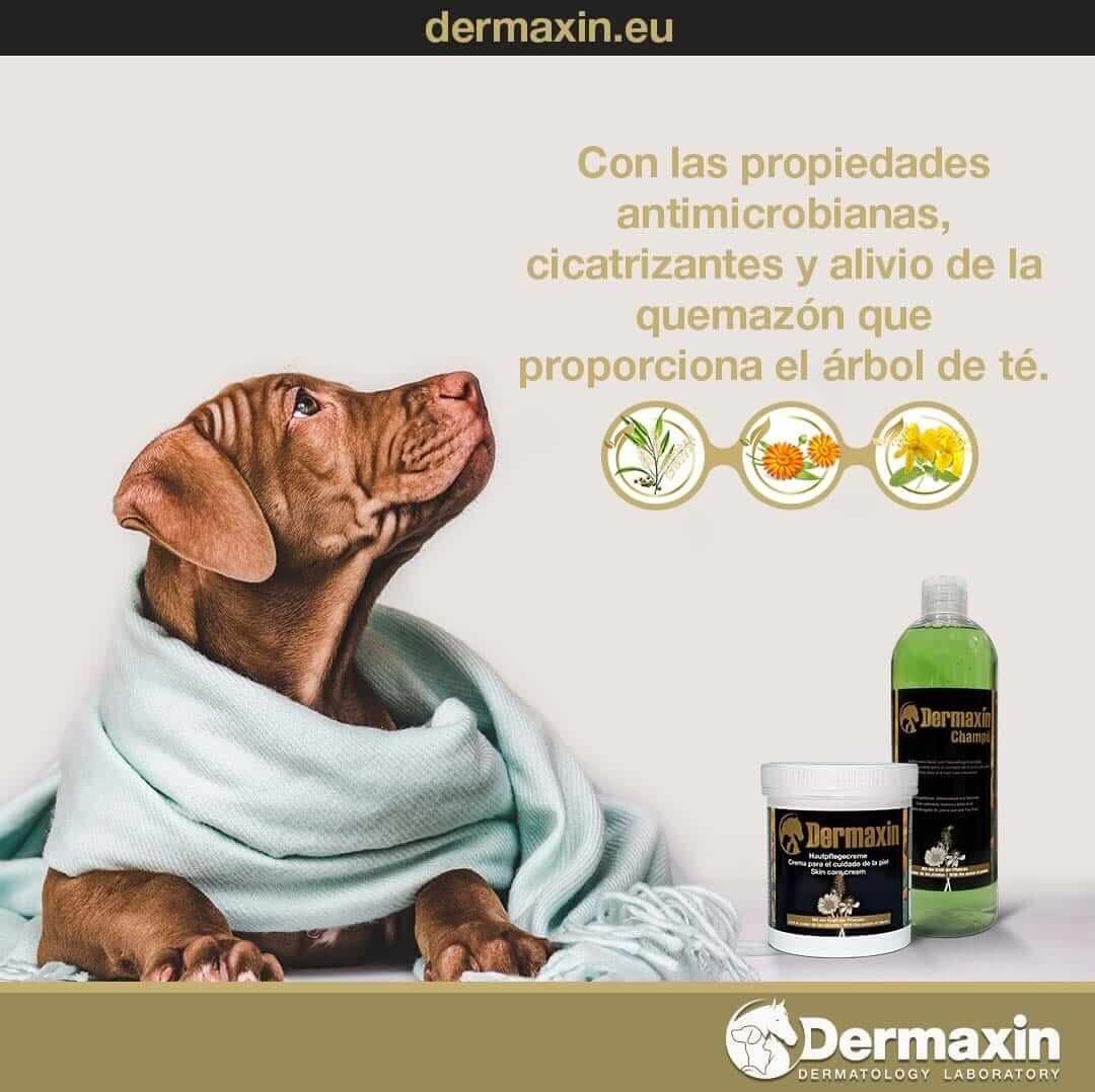 DERMAXIN Crema para el cuidado de la piel de los animales 100 ml Gabo&Gordo Pet Shop en Las Palmas de Gran Canaria tienda para mascotas, perros, gatos, conejos, tortugas, animales, accesorios para mascotas
