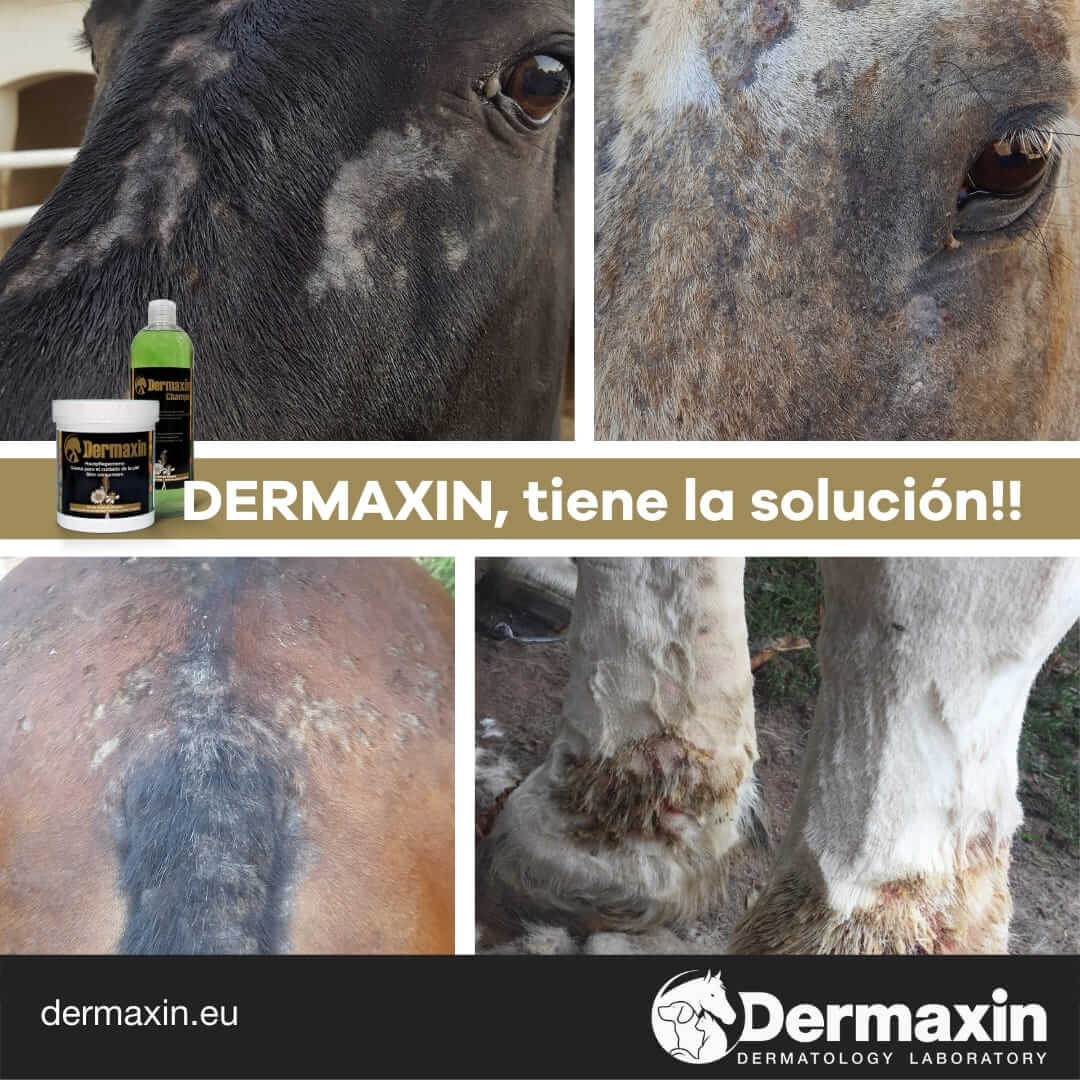 DERMAXIN Crema para el cuidado de la piel de los animales 100 ml Gabo&Gordo Pet Shop en Las Palmas de Gran Canaria tienda para mascotas, perros, gatos, conejos, tortugas, animales, accesorios para mascotas