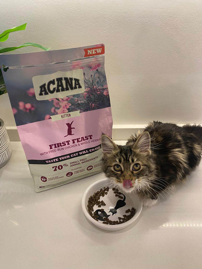 ACANA FIRST FEAST KITTEN 1,8 kg PIENSO PARA GATITOS Gabo y Gordo E Shop, la mejor tienda online en las Islas Canarias, España, tienda online para mascotas, perros, gatos, conejos, tortugas, animales, accesorios para mascotas en general. 
Gabo y Gordo E Shop in Canary Islands, the best store for pets, dogs, cats, rabbits, turtles, animals, pet accessories.