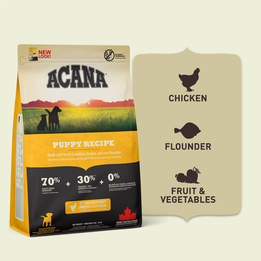 ACANA Puppy Recipe Grain free food for medium breed puppies