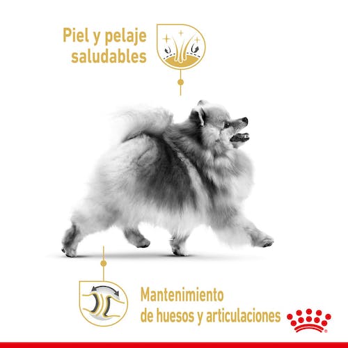 ROYAL CANIN Pomeranian ADULT 3 kg Gabo&Gordo Pet Shop en Las Palmas de Gran Canaria tienda para mascotas, perros, gatos, conejos, tortugas, animales