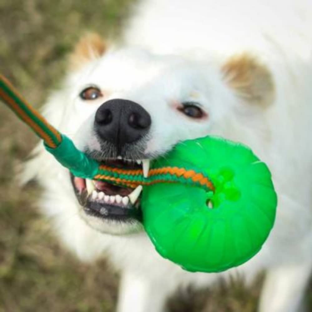 STARMARK Pelota con cuerda dispensadora de comida para perros SWING N FLING CHEWBALL