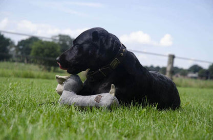 Juguete de peluche COUNTRY DOG MOOSE para perros Gabo y Gordo E Shop, la mejor tienda online en las Islas Canarias, España, tienda online para mascotas, perros, gatos, conejos, tortugas, animales, accesorios para mascotas en general. 
Gabo y Gordo E Shop in Canary Islands, the best store for pets, dogs, cats, rabbits, turtles, animals, pet accessories.