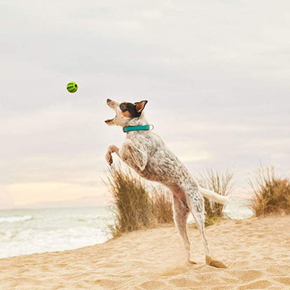 DUVO Pelota con sabor para limpieza dental de 5 y 7cm PARA PERRO en Gabo&Gordo Pet Shop en Las Palmas de Gran Canaria tienda para mascotas, perros, gatos, conejos, tortugas, animales, accesorios para mascotas
