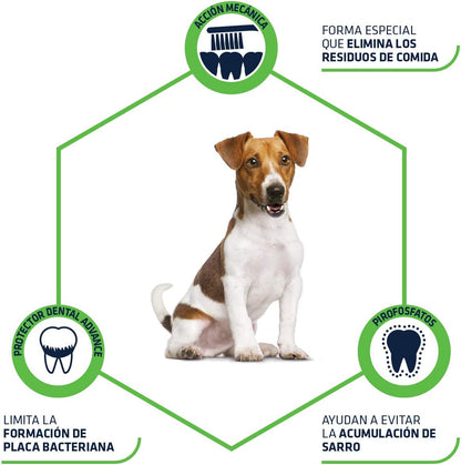 snack ADVANCE DENTAL CARE STICK MINI Gabo&Gordo Pet Shop en Las Palmas de Gran Canaria tienda para mascotas, perros, gatos, conejos, tortugas, animales