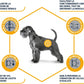 Pienso ADVANCE VET RENAL para perro en Las Palmas de Gran Canaria