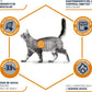 Pienso ADVANCE VET WEIGHT BALANCE PARA GATOS en Las Palmas de Gran Canaria