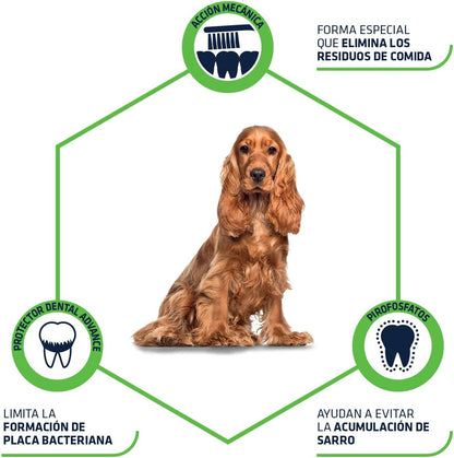 snack ADVANCE DENTAL CARE STICK MEDIUM-MAXI Gabo&Gordo Pet Shop en Las Palmas de Gran Canaria tienda para mascotas, perros, gatos, conejos, tortugas, animales