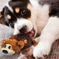 KONG SHELLS BEAR | juguete peluche oso para perros en Gabo&Gordo Pet Shop en Las Palmas de Gran Canaria tienda para mascotas, perros, gatos, conejos, tortugas, animales, accesorios para mascotas