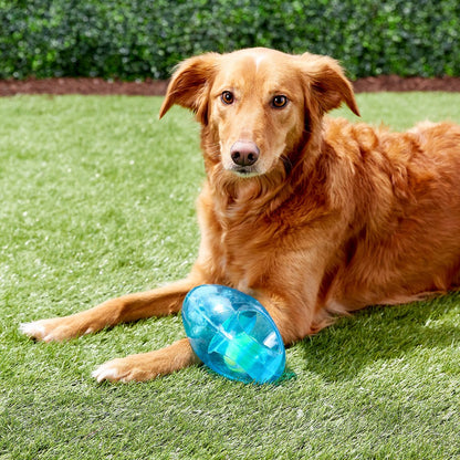 KONG JUMBLER Football T-Large/X-Large | Juguete para perro | MORADO Gabo&Gordo Pet Shop en Las Palmas de Gran Canaria tienda para mascotas, perros, gatos, conejos, tortugas, animales, accesorios para mascotas 